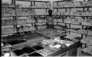 I wish I could remember Cliff's last name-- he was one of the fellows who worked with these "proof rolls." You can see some flat packages on the desk in the foreground, and some small black rectangles. The small rectangles are individual pages of film that add up to a whole comic book. The large package indicates the overall size of the assembled negatives that make up a "flat" that is used to make the metal plates that prints the comic pages. Cliff was one of the fellows that took the big negative flat apart into the individual pages. They were collected and stored. It was a bigger job than it sounds because each page had a total of 4 negatives, the b&w artwork plus three colors. The proof rolls are prints of the large flats. The b&w proof is used for reprints... and that is why there are so many... It's what has always made Marvel a little extra money over time!